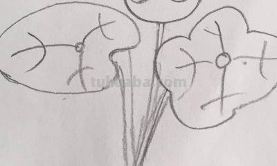 荷花怎么画 手抄报 关于荷花的手抄报上可以画一些什么样图画？（求图或者解答）？