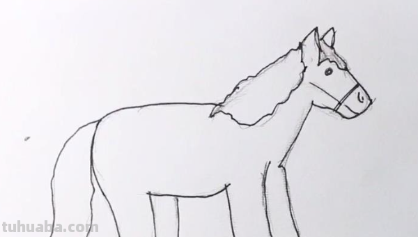 马怎么画简笔画图片