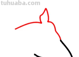 马怎么画简笔画图片