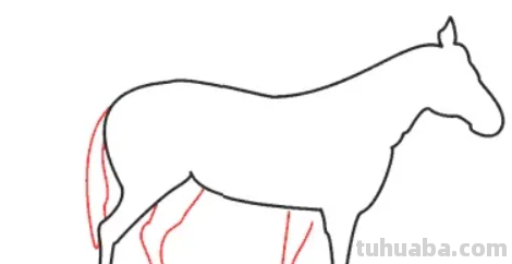 马怎么画简笔画图片