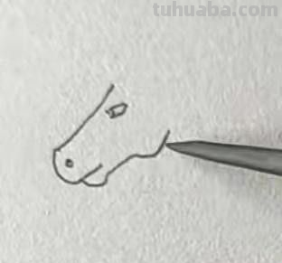 怎样画卡通小马简笔画?