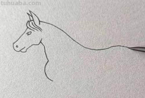 怎样画卡通小马简笔画?