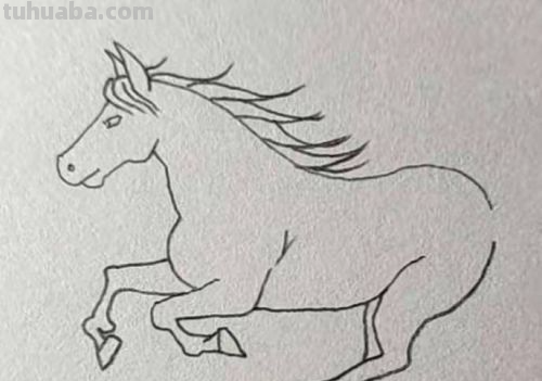 怎样画卡通小马简笔画?