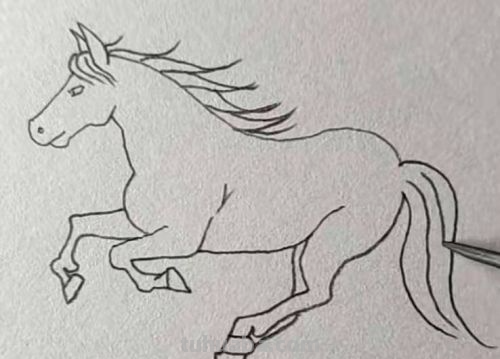 怎样画卡通小马简笔画?