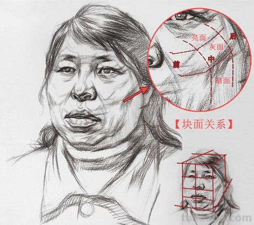 素描头像结构 素描头像结构图解析