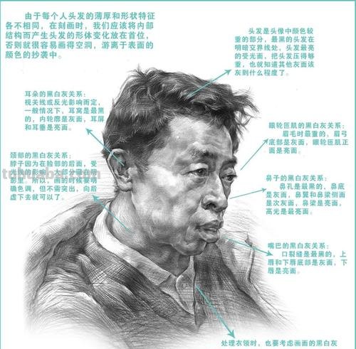 素描头像画法入门教程 素描头像画法入门教程视频