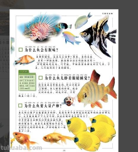 十万为什么思维导图字 十万个为什么思维导图内容写什么？