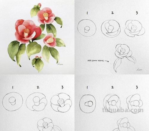 花卉画法 动漫花卉画法