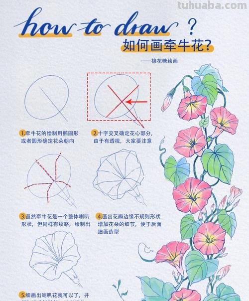 花卉画法 动漫花卉画法