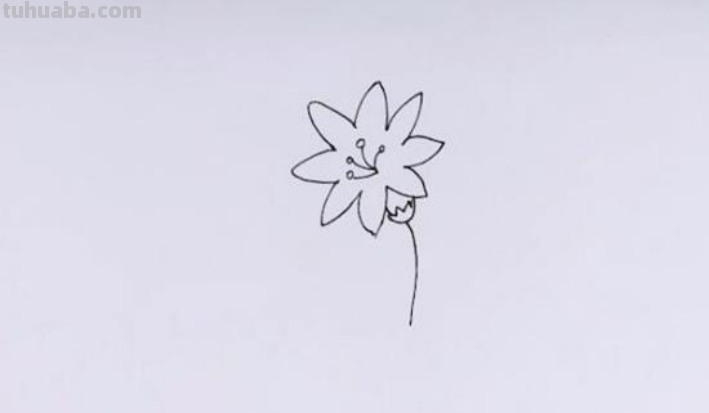 花草的画法