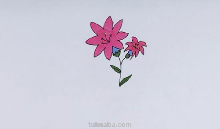 花草的画法