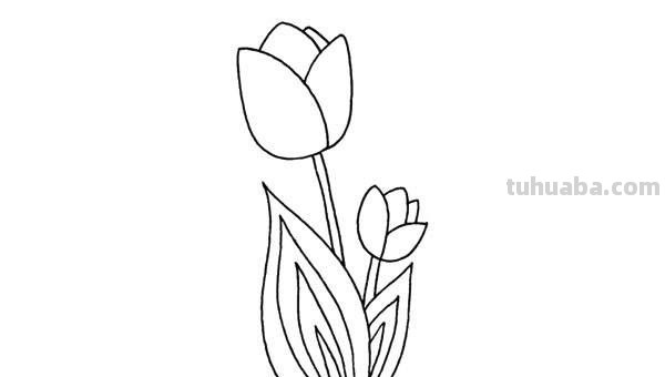 花卉的画法