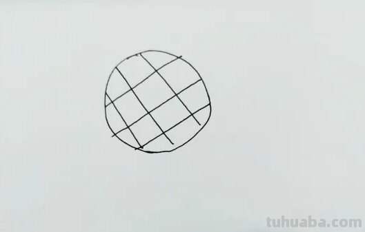 乌龟喜欢生活在哪里简笔画