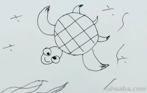 乌龟喜欢生活在哪里简笔画