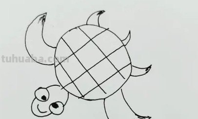 乌龟喜欢生活在哪里简笔画