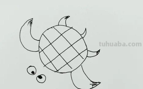 乌龟喜欢生活在哪里简笔画