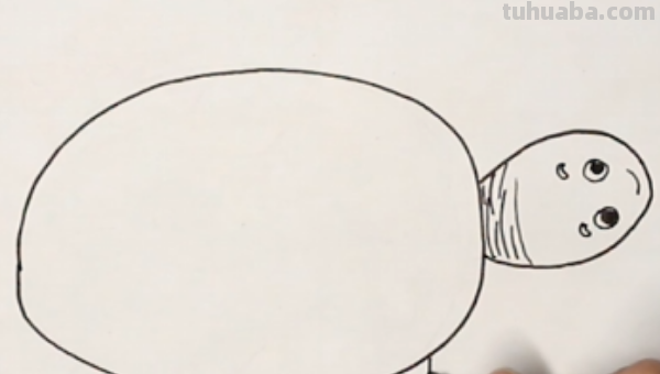 小乌龟怎么画简笔画