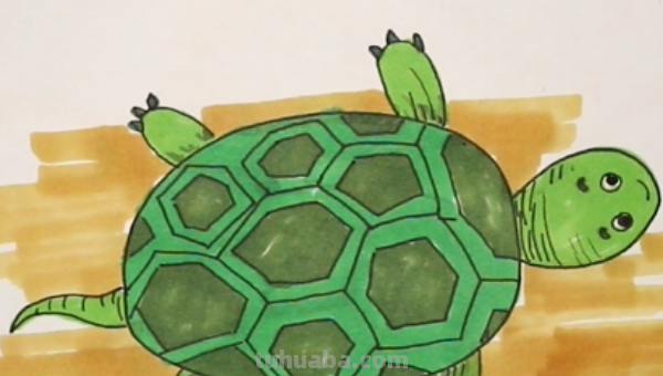 小乌龟怎么画简笔画