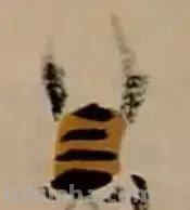 蜜蜂，瓢虫，蟋蟀、蚱蜢，蜗牛，浮游等画法（附图）