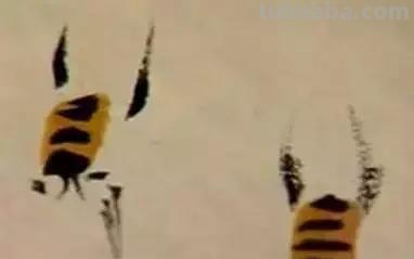 蜜蜂，瓢虫，蟋蟀、蚱蜢，蜗牛，浮游等画法（附图）