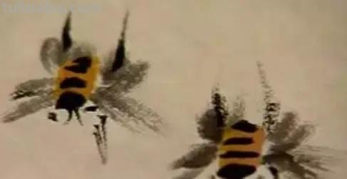 蜜蜂，瓢虫，蟋蟀、蚱蜢，蜗牛，浮游等画法（附图）