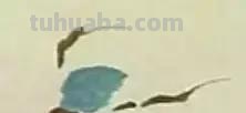 蜜蜂，瓢虫，蟋蟀、蚱蜢，蜗牛，浮游等画法（附图）