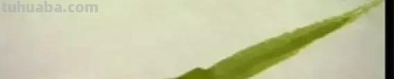 蜜蜂，瓢虫，蟋蟀、蚱蜢，蜗牛，浮游等画法（附图）