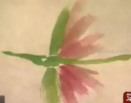 蜜蜂，瓢虫，蟋蟀、蚱蜢，蜗牛，浮游等画法（附图）