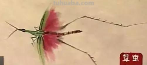蜜蜂，瓢虫，蟋蟀、蚱蜢，蜗牛，浮游等画法（附图）