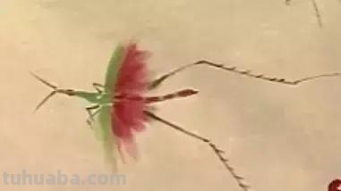 蜜蜂，瓢虫，蟋蟀、蚱蜢，蜗牛，浮游等画法（附图）