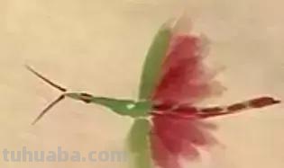 蜜蜂，瓢虫，蟋蟀、蚱蜢，蜗牛，浮游等画法（附图）