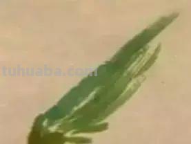 蜜蜂，瓢虫，蟋蟀、蚱蜢，蜗牛，浮游等画法（附图）
