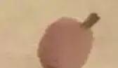 蜜蜂，瓢虫，蟋蟀、蚱蜢，蜗牛，浮游等画法（附图）