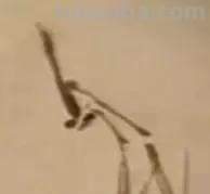 蜜蜂，瓢虫，蟋蟀、蚱蜢，蜗牛，浮游等画法（附图）