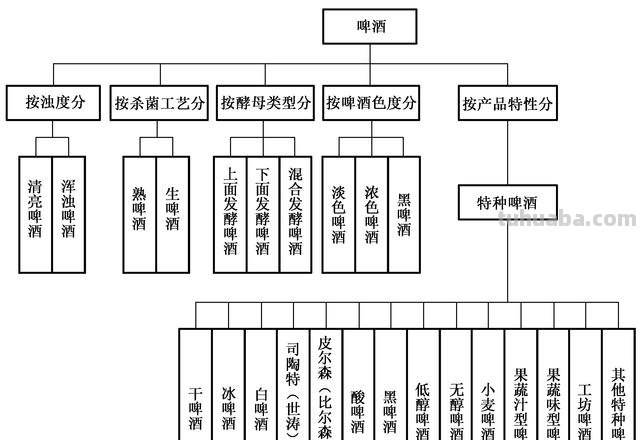 思维导图饮料分类怎么画 饮料分哪几种类型?