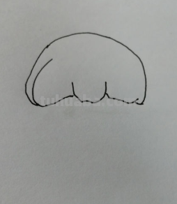 100种女生可爱简笔画