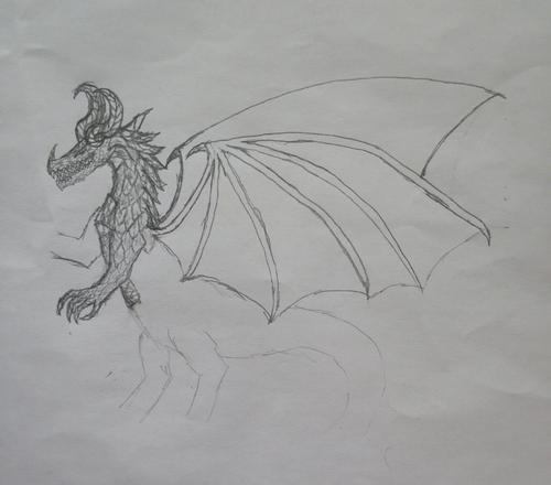 速写西方龙 怎样用素描画西方龙?