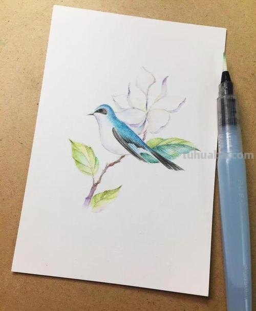 彩铅怎么画用哪种笔 彩铅画入门教程？