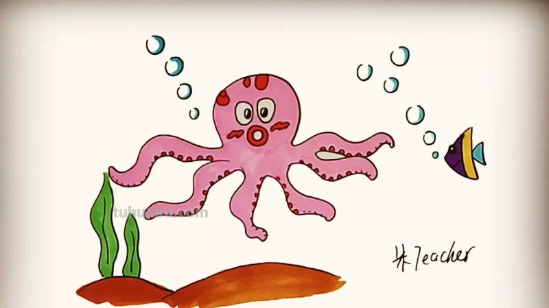 简笔画-章鱼