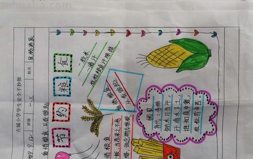 思维导图珍惜粮食怎么画 一年级珍惜粮食杜绝浪费的手抄报内容?