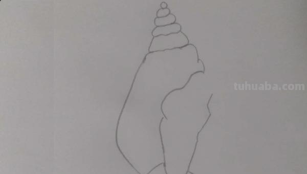 海螺怎么画简笔画图片 海螺简笔画教程？