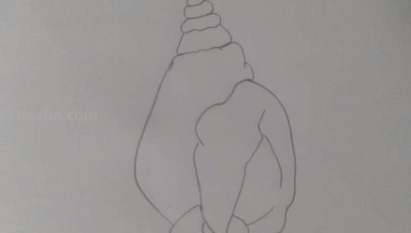 海螺怎么画简笔画图片 海螺简笔画教程？