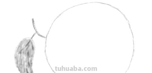 彩铅青桔橘皮怎么画 橘子皮创意贴画教程？