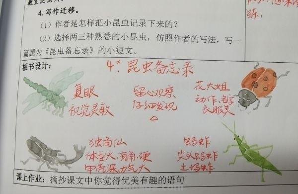 太美了!翻开他的备课本,板书设计就是一幅幅水彩画