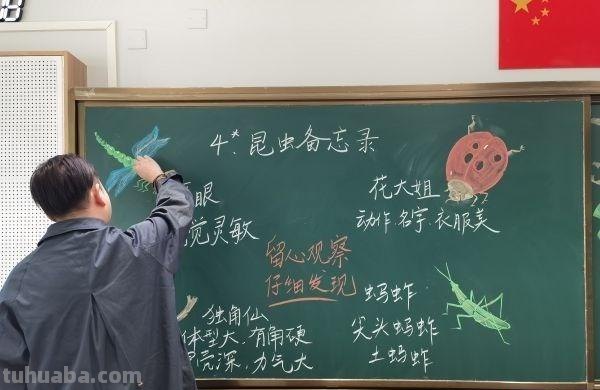 太美了！翻开他的备课本，板书设计就是一幅幅水彩画