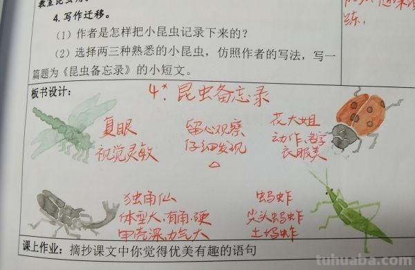 太美了！翻开他的备课本，板书设计就是一幅幅水彩画