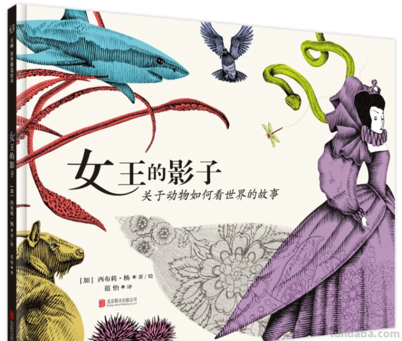 这68本大奖绘本，现在看到也不晚