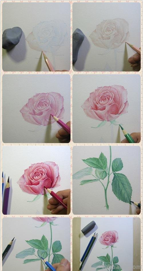 彩铅怎么画漂亮图片大全 铅笔画图片唯美花朵,彩铅玫瑰花教程图片?