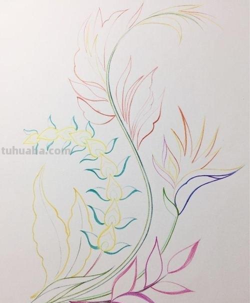彩铅怎么画漂亮图片大全 铅笔画图片唯美花朵，彩铅玫瑰花教程图片？