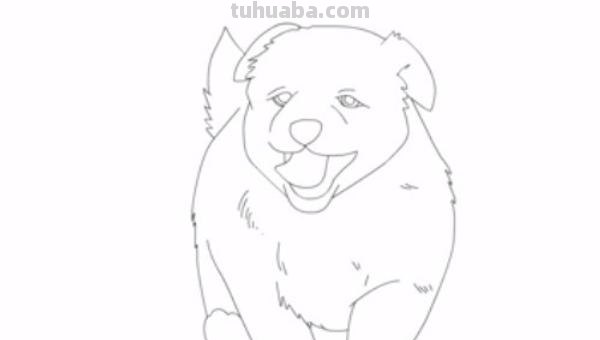 狗全身怎么画彩铅色 素描彩铅小狗教程？